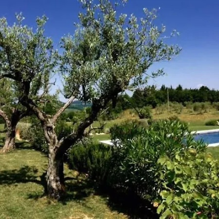 Villa Fattoria Muricci, I Cachi - Chianti, Tuscany