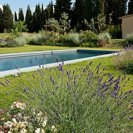 Fattoria Muricci, I Cachi - Chianti, Tuscany *