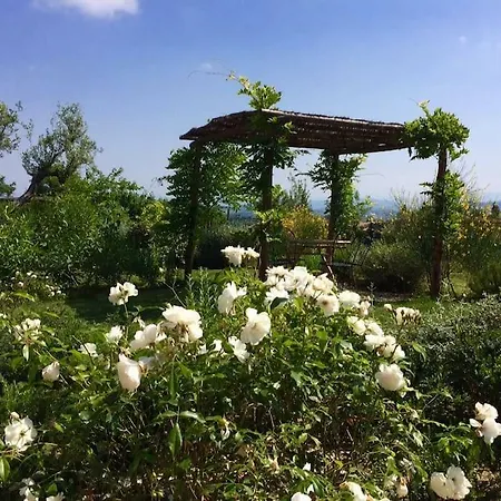 Вилла Fattoria Muricci, I Cachi - Chianti, Tuscany *