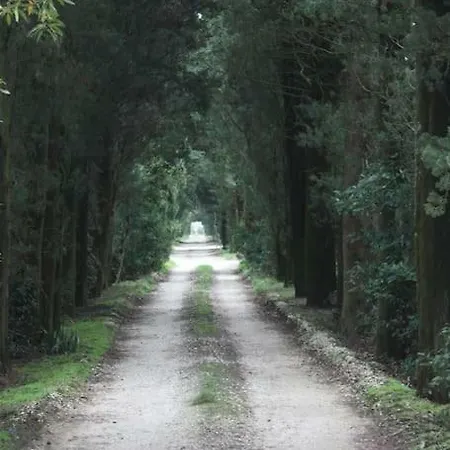 Fattoria Muricci, I Cachi - Chianti, Tuscany * Tavarnelle Val di Pesa